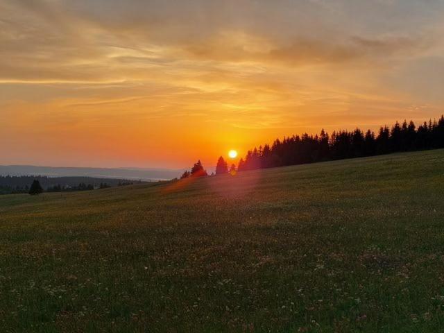 Landgasthof Neitsch Шварценберг Экстерьер фото
